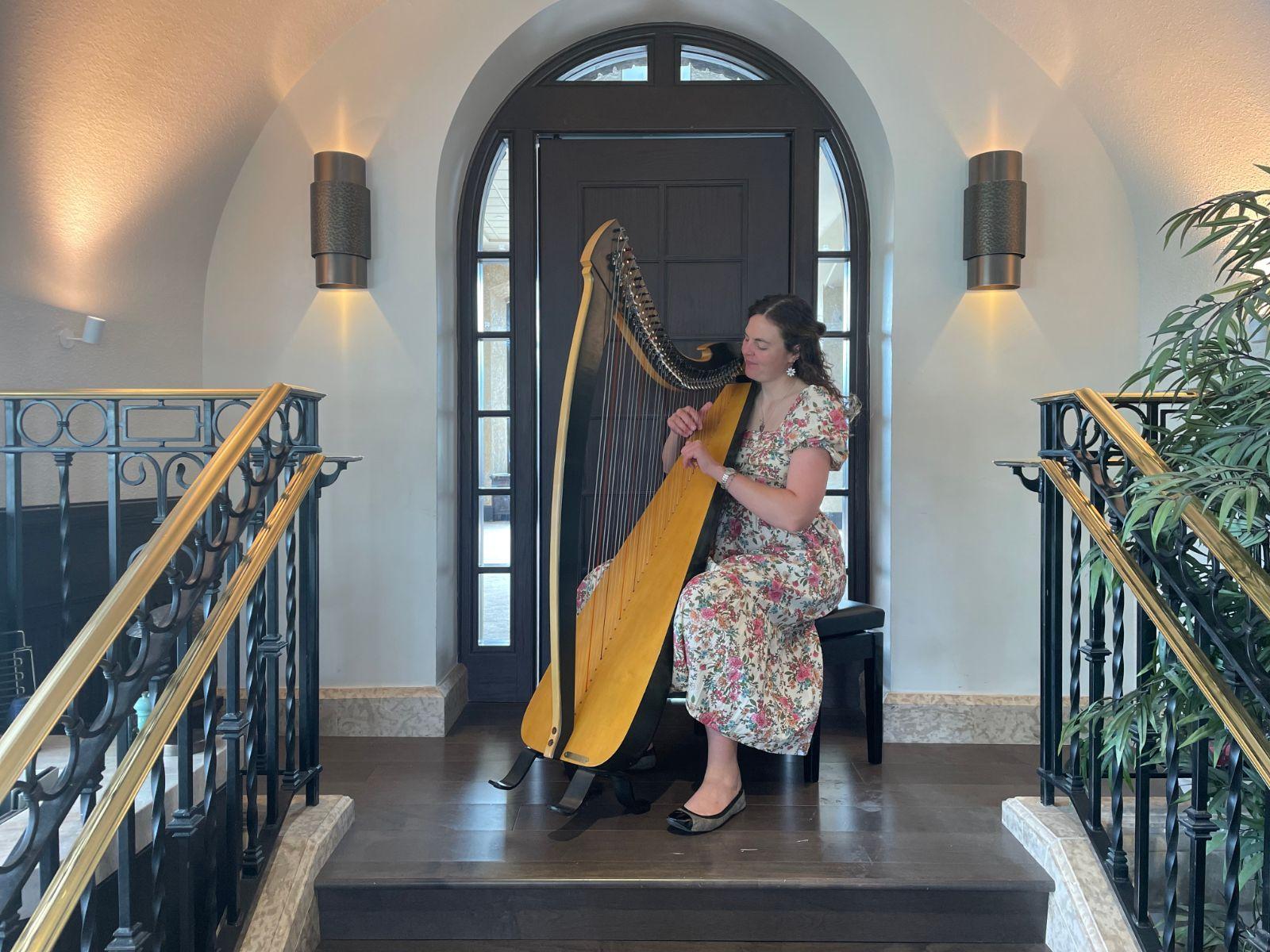 Wild Harpist, Music & Entertainment, Claresholm, AB, photo 1