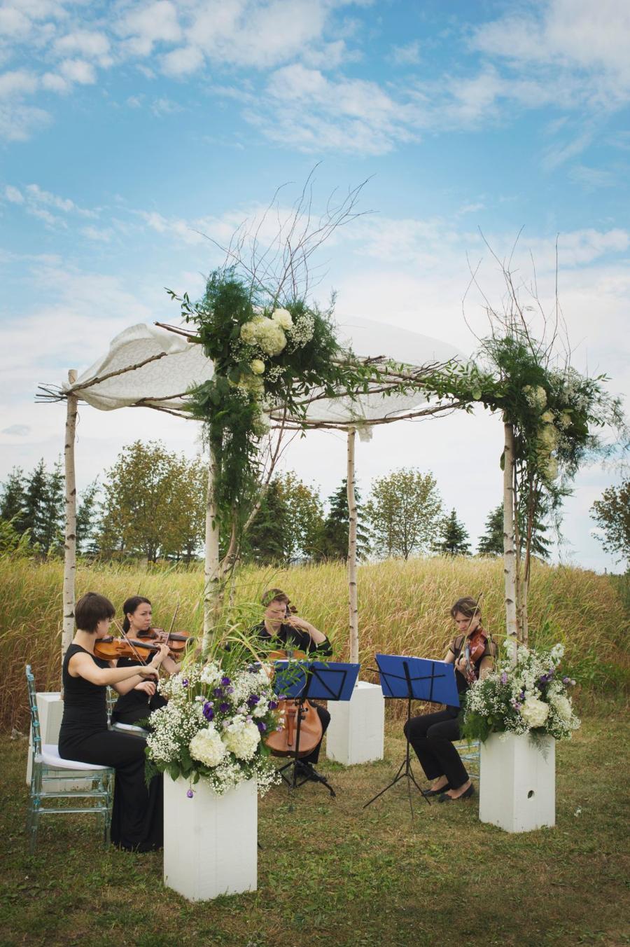 Cadenza Strings, Music & Entertainment, photo 1