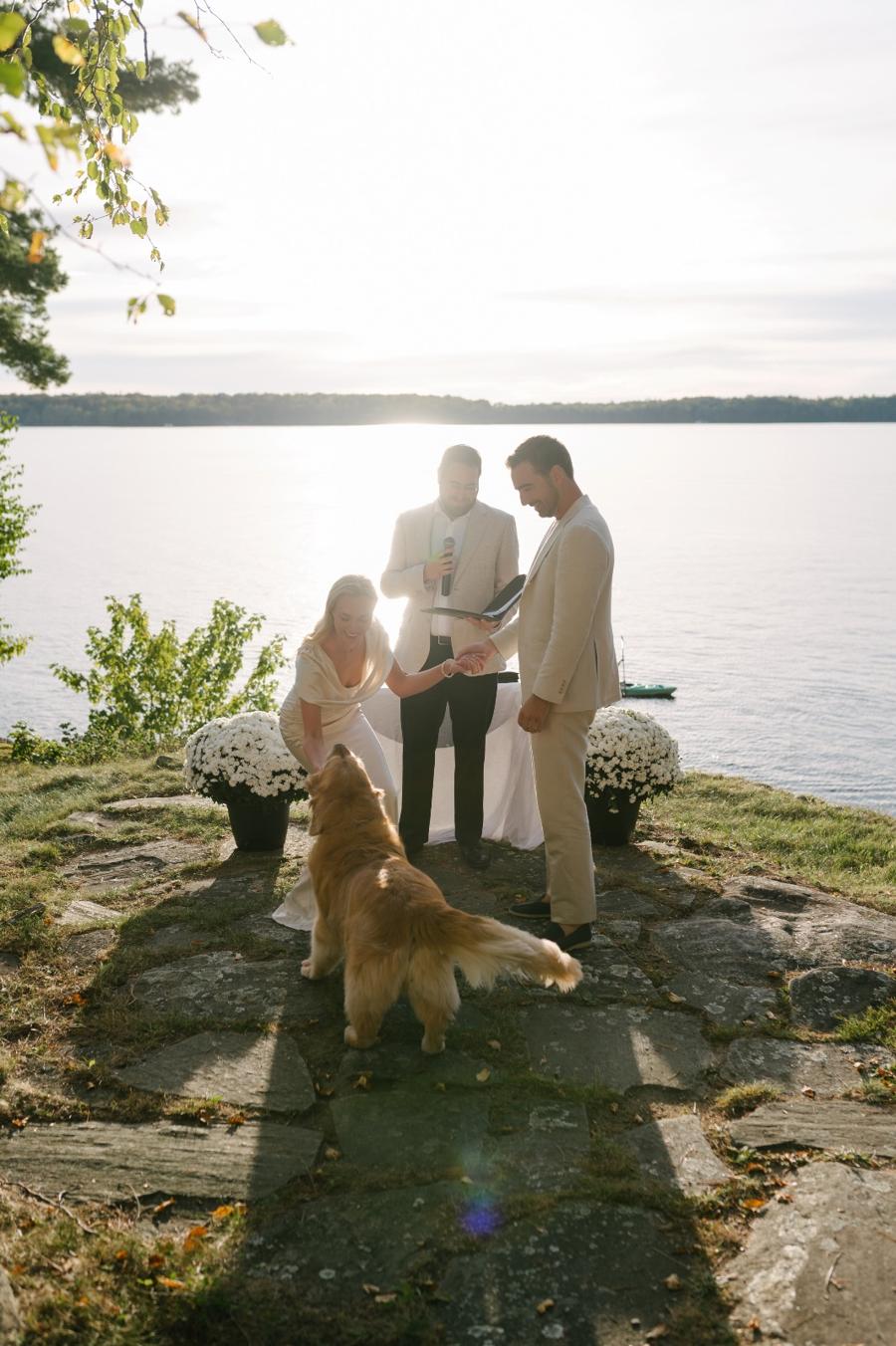Mike Hetherington Weddings, Officiants, Toronto / Muskoka, ON, photo 2