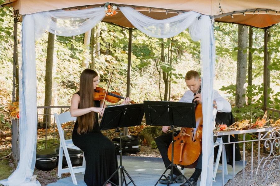 Cadenza Strings, Music & Entertainment, photo 2