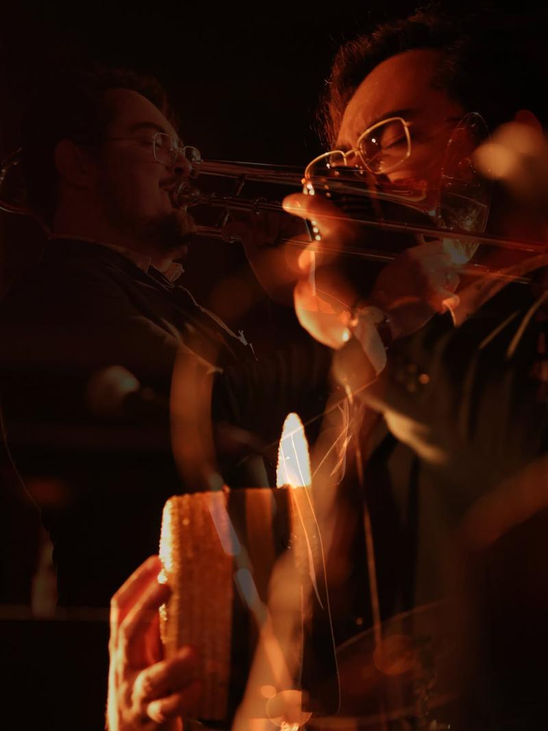 Eighth Street Orchestra, Musique et animation, Toronto, ON, photo 3