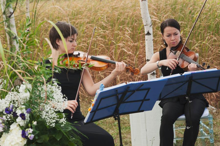 Cadenza Strings, Music & Entertainment, photo 3