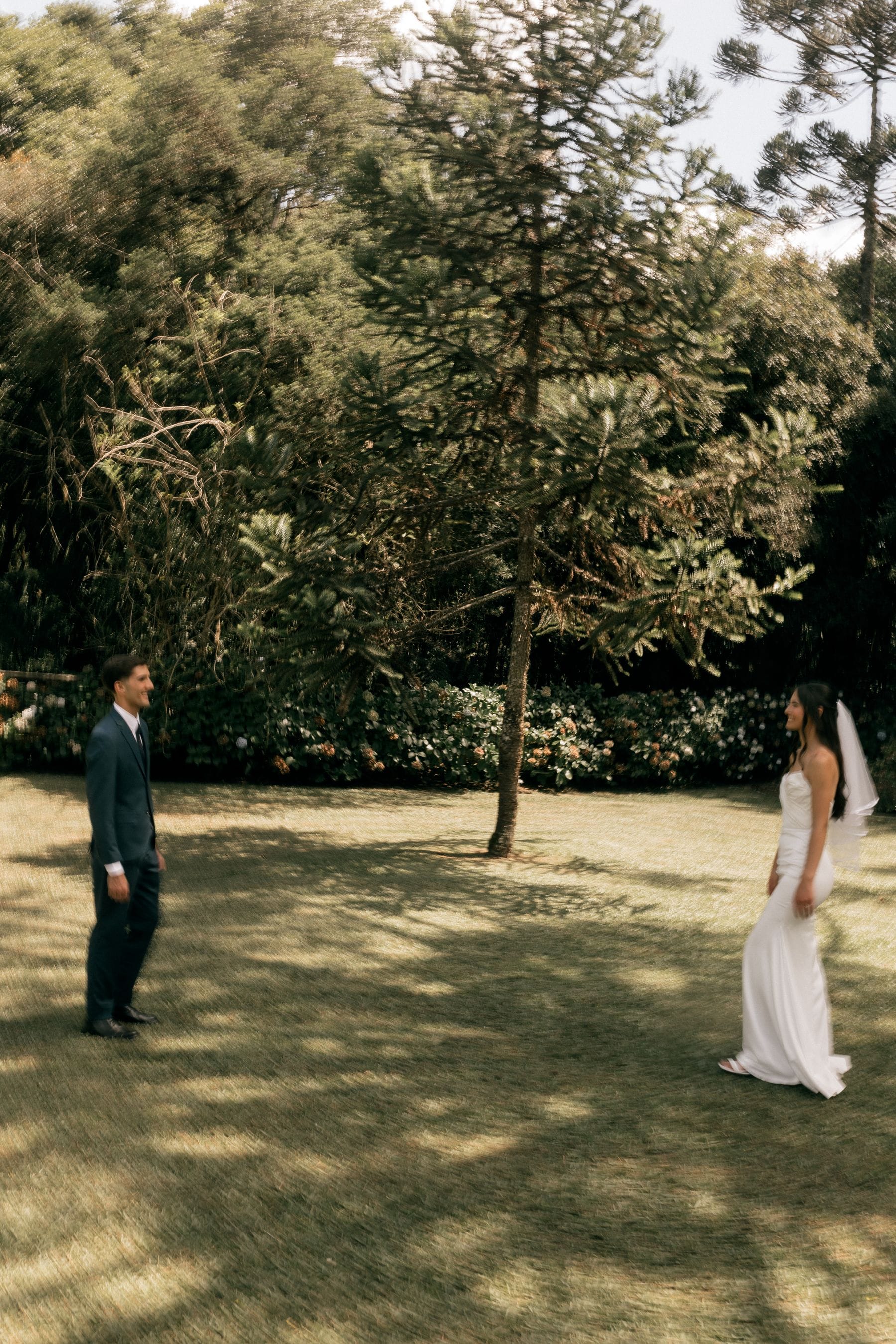 A first look in a sunny garden